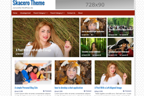 Skacero WordPress Blogging and Magazine Responsive Bootstrap 4 Theme