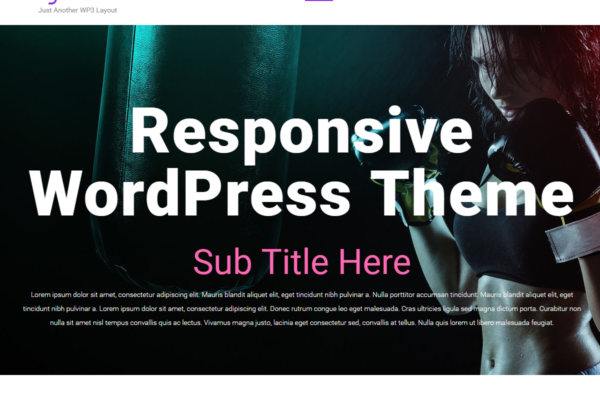 Ringster WP3 WordPress responsive professional theme