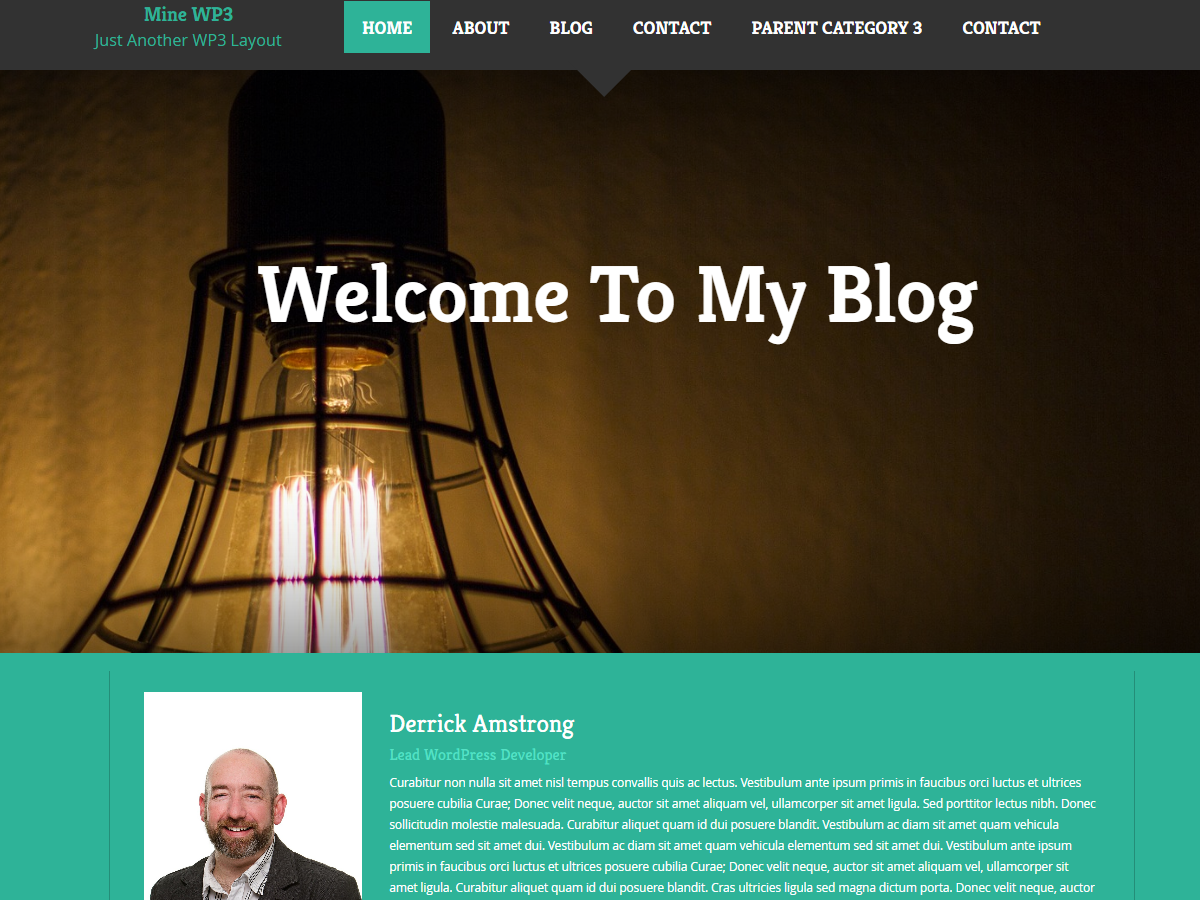 Mine WP3 Blog WordPress Responsive Bootstrap Theme