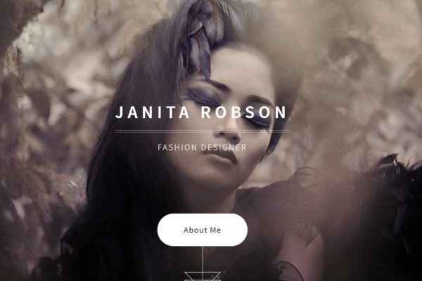 Overflow Responsive Simple Portfolio Photography WordPress Theme