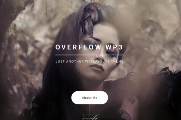 Overflow WP3 Responsive Simple Photography Portfolio WordPress Theme