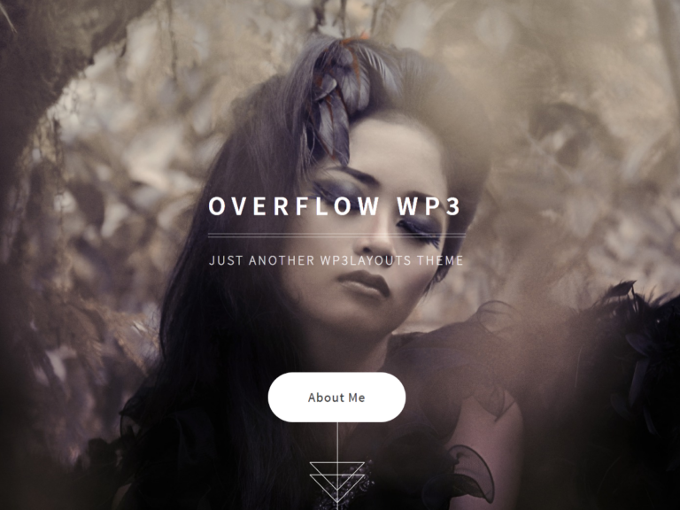Overflow WP3 Responsive Simple Photography Portfolio WordPress Theme
