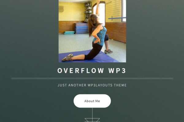Overflow WP3 Responsive Simple Free WordPress Themes for portfolio and photography blogs