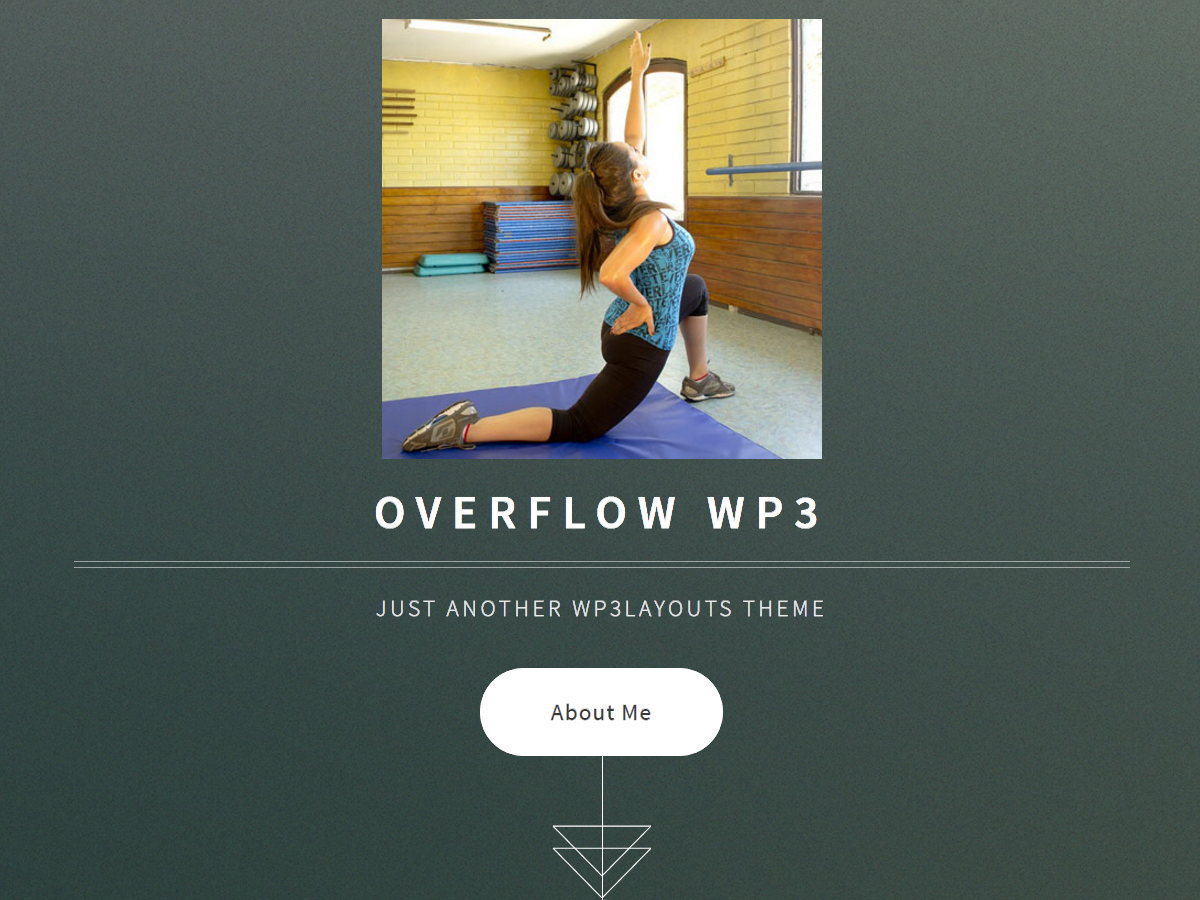 Overflow WP3 Responsive Simple Free WordPress Themes for portfolio and photography blogs