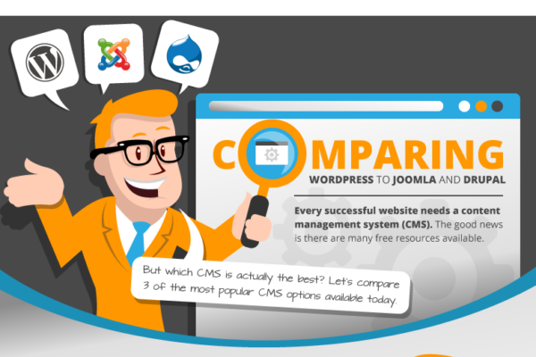 A Definitive CMS Comparison Guide - WordPress, Joomla or Drupal (Infographic)