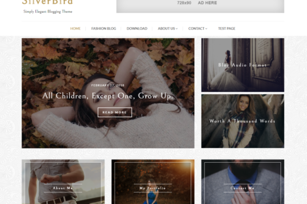 Silverbird - Elegant WordPress Blog Theme